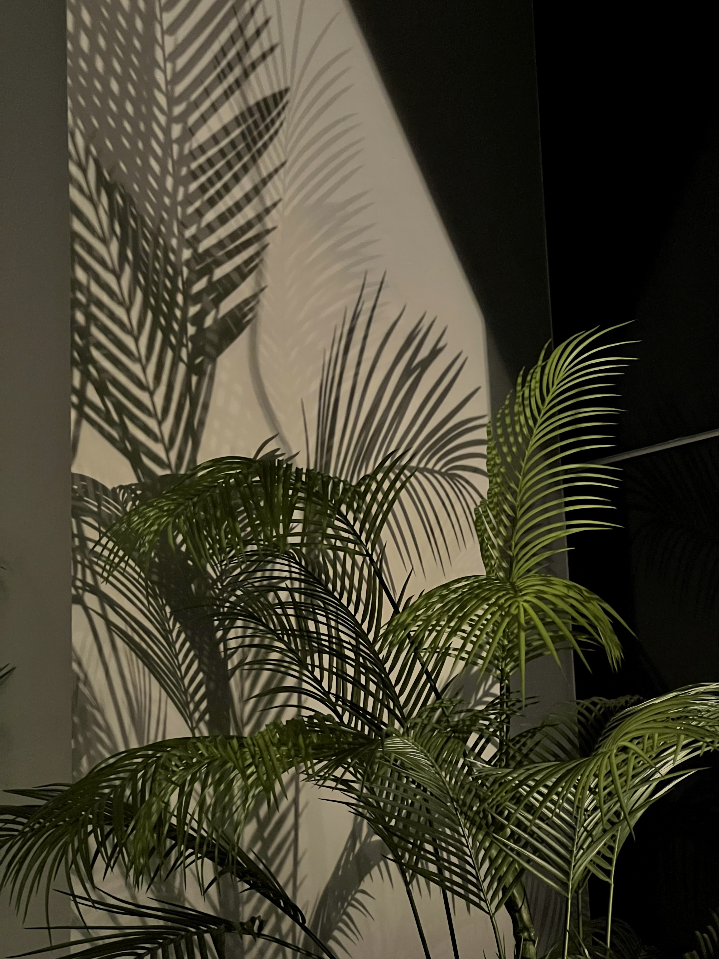 Vegetación interior